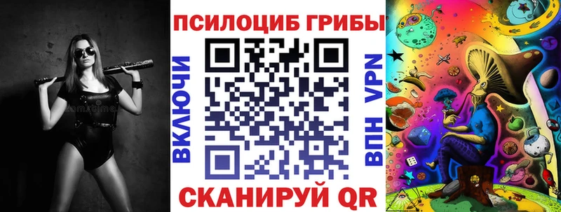 Галлюциногенные грибы Psilocybine cubensis  kraken ССЫЛКА  Дудинка 